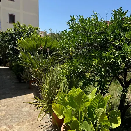 Da Peppe&giorgia Casa de Férias Olbia